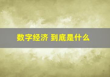 数字经济 到底是什么